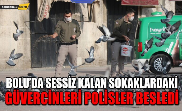 Bolu’da sessiz kalan sokaklardaki güvercinleri polisler besledi