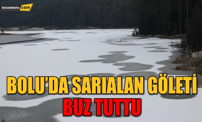 Bolu’da Sarıalan Göleti buz tuttu