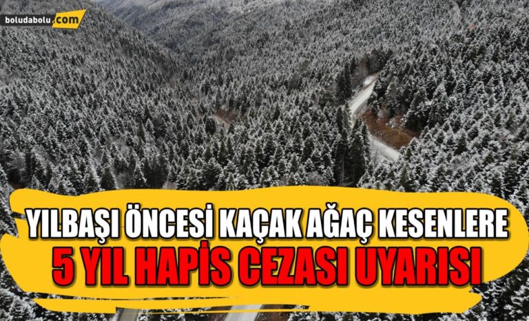 Yılbaşı öncesi kaçak ağaç kesenlere 5 yıl hapis cezası uyarısı