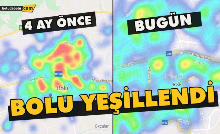 Bolu Yeşillendi
