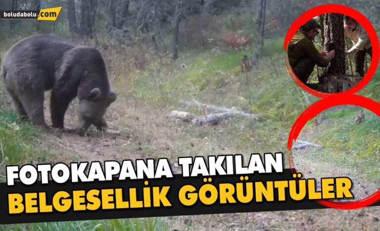 Fotokapana takılan belgesellik görüntüler