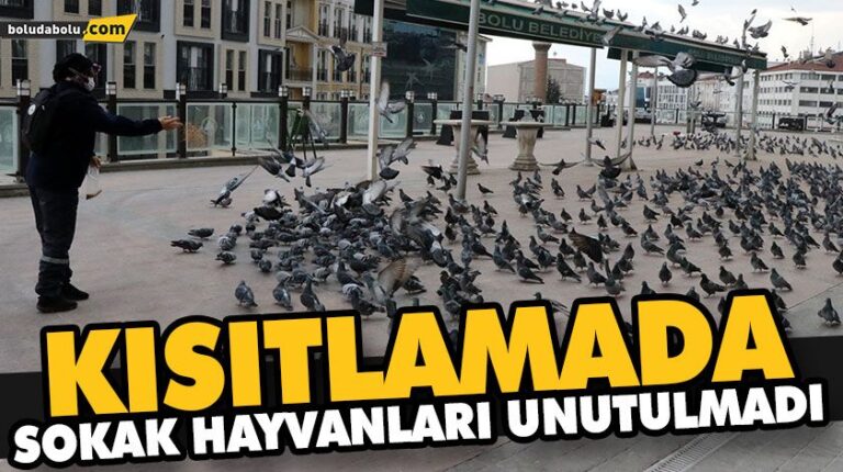 KISITLAMADA  SOKAK HAYVANLARI UNUTULMADI