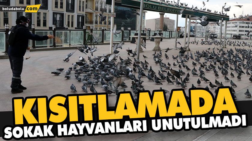 KISITLAMADA SOKAK HAYVANLARI UNUTULMADI KISITLAMADA SOKAK HAYVANLARI UNUTULMADI