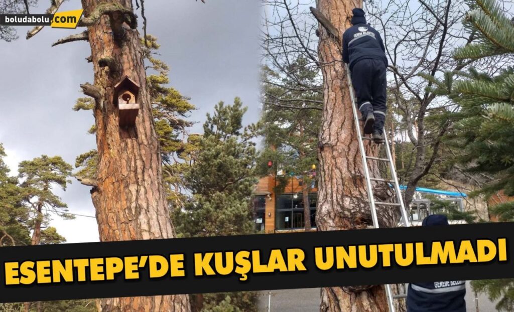 ESENTEPE’DE KUŞLAR UNUTULMADI ESENTEPE’DE KUŞLAR UNUTULMADI
