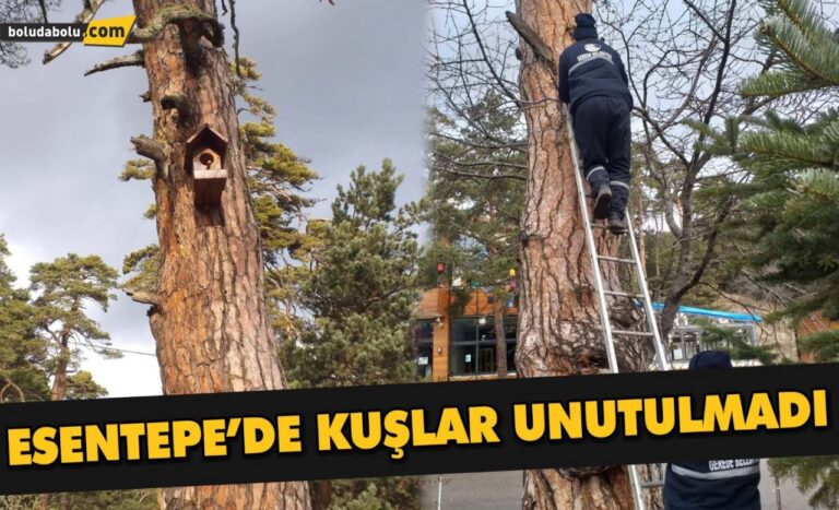 ESENTEPE’DE KUŞLAR UNUTULMADI