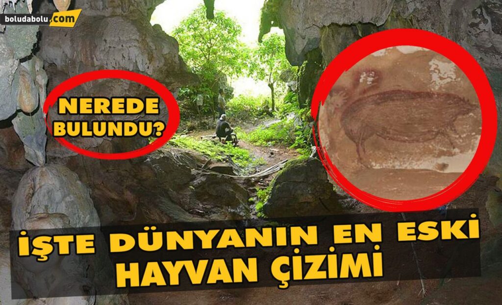 Dünyanın en eski hayvan çizimi nerede bulundu? Dünyanın en eski hayvan çizimi nerede bulundu?