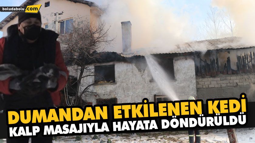 DUMANDAN ETKİLENEN KEDİ KALP MASAJIYLA HAYATA DÖNDÜRÜLDÜ DUMANDAN ETKİLENEN KEDİ KALP MASAJIYLA HAYATA DÖNDÜRÜLDÜ