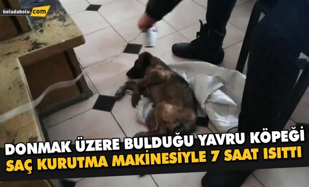 Donmak üzere bulduğu yavru köpeği saç kurutma makinesiyle 7 saat ısıttı