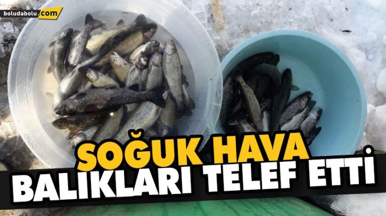 SOĞUK HAVA BALIKLARI TELEF ETTİ