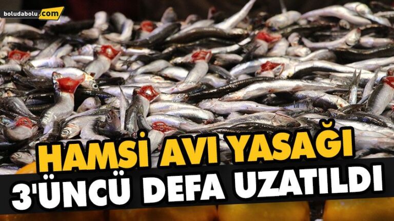 HAMSİ AVI YASAĞI 7 ŞUBAT’A UZATILDI