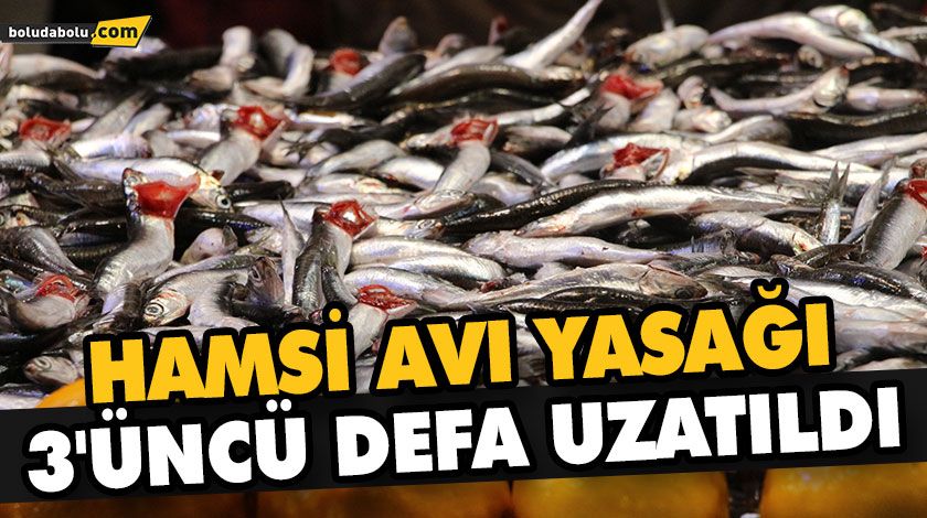 HAMSİ AVI YASAĞI 7 ŞUBAT’A UZATILDI HAMSİ AVI YASAĞI 7 ŞUBAT’A UZATILDI