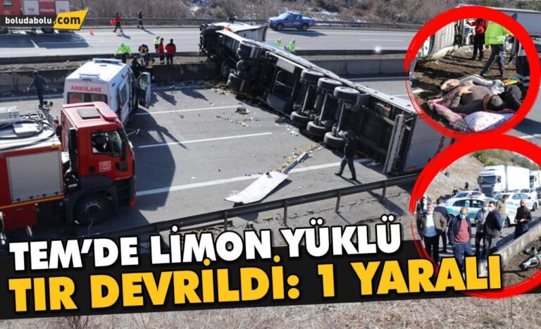 TEM’de limon yüklü tır devrildi: 1 yaralı