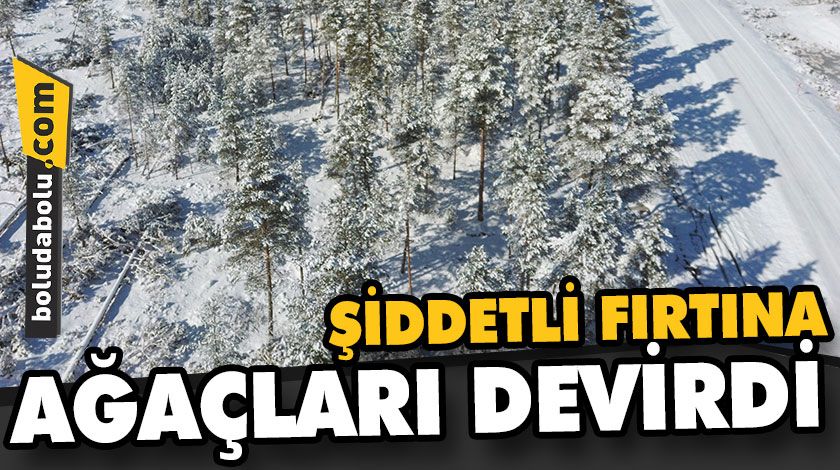 ŞİDDETLİ FIRTINA AĞAÇLARI DEVİRDİ ŞİDDETLİ FIRTINA AĞAÇLARI DEVİRDİ