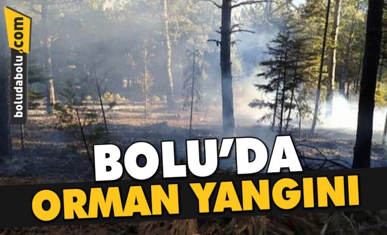 DAĞKENT ÜSTÜ ORMANLIK ALANDA YANGIN ÇIKTI