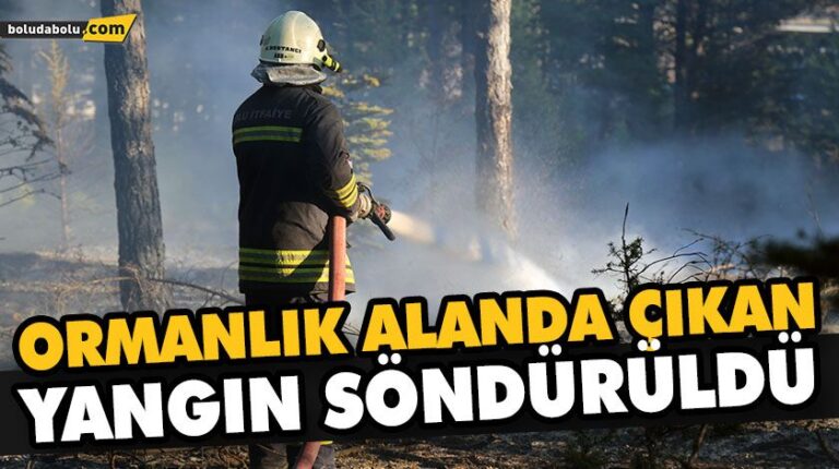 ORMANLIK ALANDA ÇIKAN YANGIN SÖNDÜRÜLDÜ