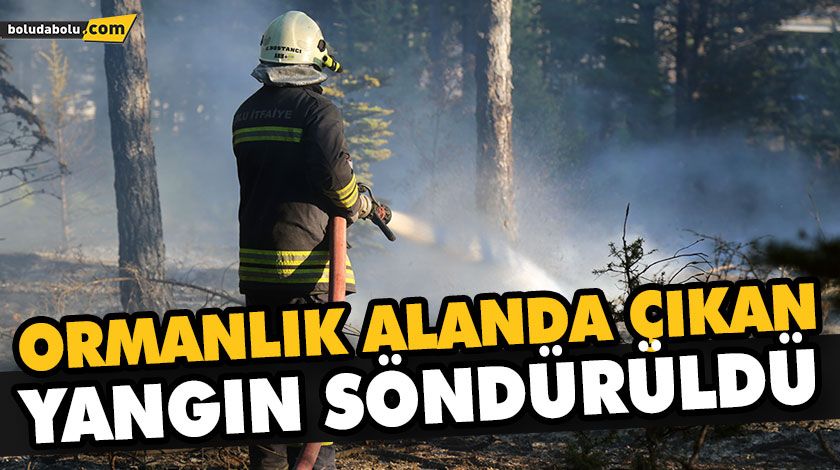 ORMANLIK ALANDA ÇIKAN YANGIN SÖNDÜRÜLDÜ ORMANLIK ALANDA ÇIKAN YANGIN SÖNDÜRÜLDÜ