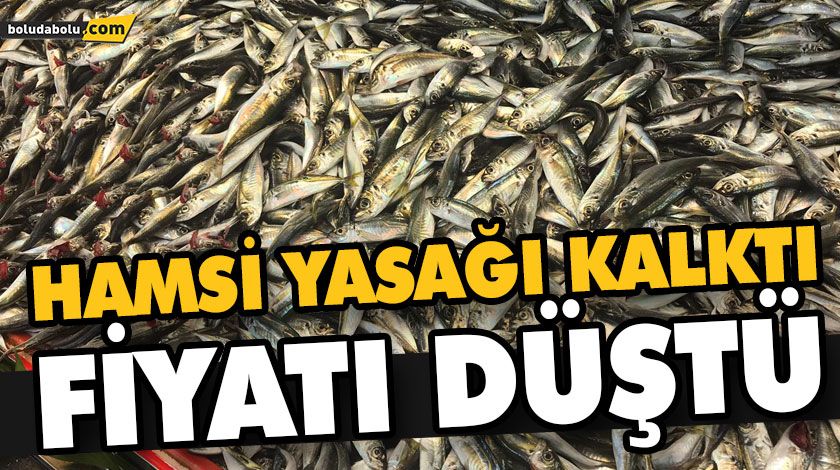 AV YASAĞI BİTTİ AMA HAMSİ DE AZALDI