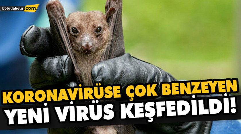 KORONAVİRÜSE ÇOK BENZEYEN YENİ VİRÜS KEŞFEDİLDİ! KORONAVİRÜSE ÇOK BENZEYEN YENİ VİRÜS KEŞFEDİLDİ!