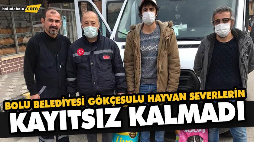 BOLU BELEDİYESİ GÖKÇESULU HAYVAN SEVERLERİN TALEBİNE KAYITSIZ KALMADI BOLU BELEDİYESİ GÖKÇESULU HAYVAN SEVERLERİN TALEBİNE KAYITSIZ KALMADI