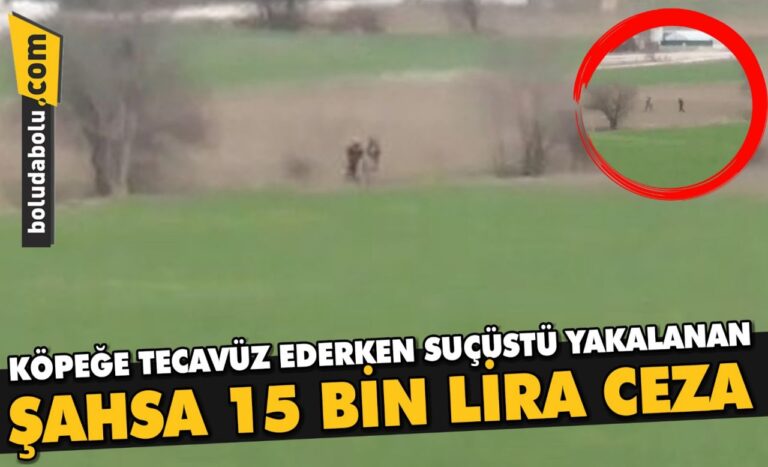 Bolu’da, köpeğe tecavüz ederken suçüstü yakalanan şahsa 15 bin lira ceza