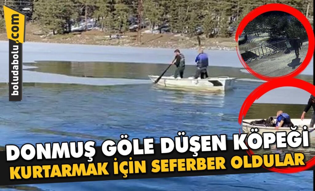 Bolu’da donmuş göle düşen köpeği kurtarmak için seferber oldular Bolu’da donmuş göle düşen köpeği kurtarmak için seferber oldular