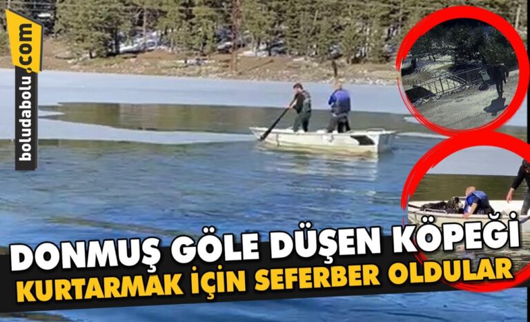 Bolu’da donmuş göle düşen köpeği kurtarmak için seferber oldular