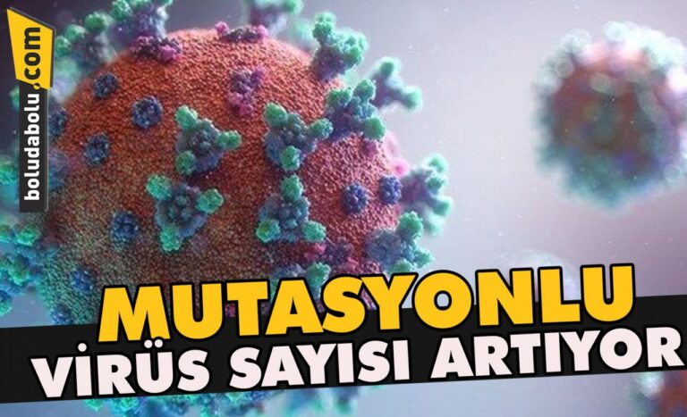 Mutasyonlu virüs sayısı artıyor