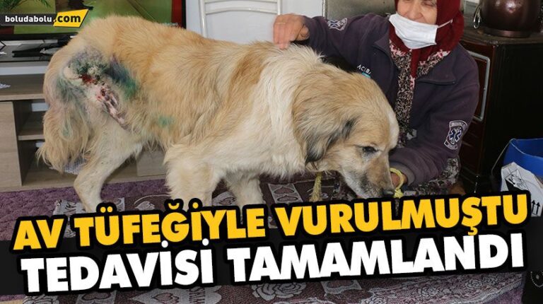 AV TÜFEĞİYLE VURULMUŞTU TEDAVİSİ TAMAMLANDI