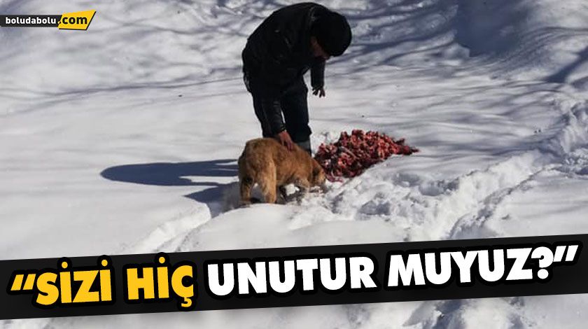 BELEDİYE EKİPLERİ SOKAK VE YABAN HAYVANLARI İÇİN DOĞAYA YİYECEK BIRAKTI BELEDİYE EKİPLERİ SOKAK VE YABAN HAYVANLARI İÇİN DOĞAYA YİYECEK BIRAKTI