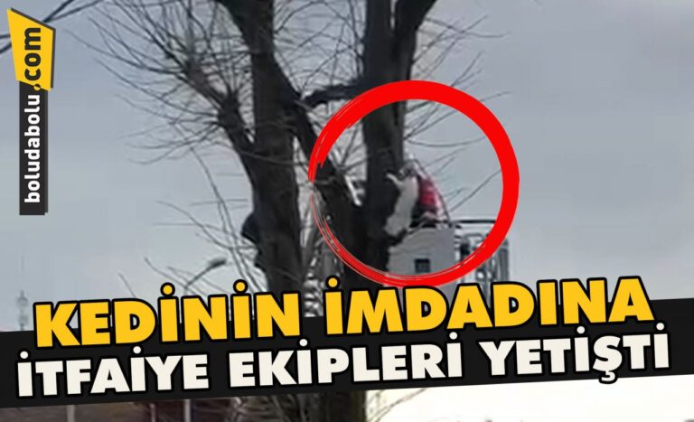 Kedinin imdadına itfaiye ekipleri yetişti