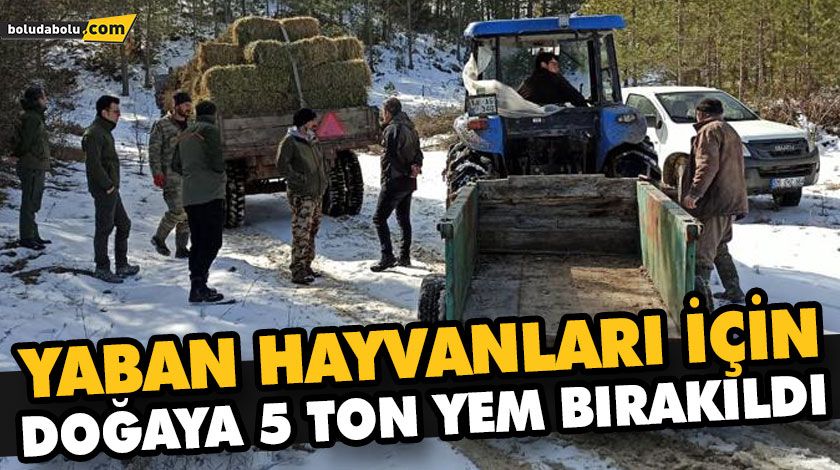 YABAN HAYVANLARI İÇİN DOĞAYA 5 TON YEM BIRAKILDI YABAN HAYVANLARI İÇİN DOĞAYA 5 TON YEM BIRAKILDI