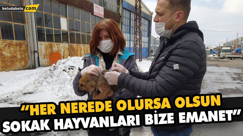 “HER NEREDE OLURSA OLSUN, SOKAK HAYVANLARI BİZE EMANET” “HER NEREDE OLURSA OLSUN, SOKAK HAYVANLARI BİZE EMANET”