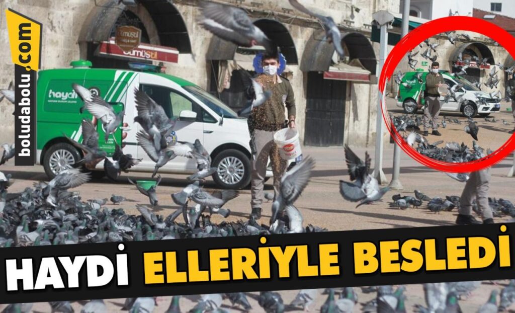 HAYDİ ELLERİYLE BESLEDİ HAYDİ ELLERİYLE BESLEDİ