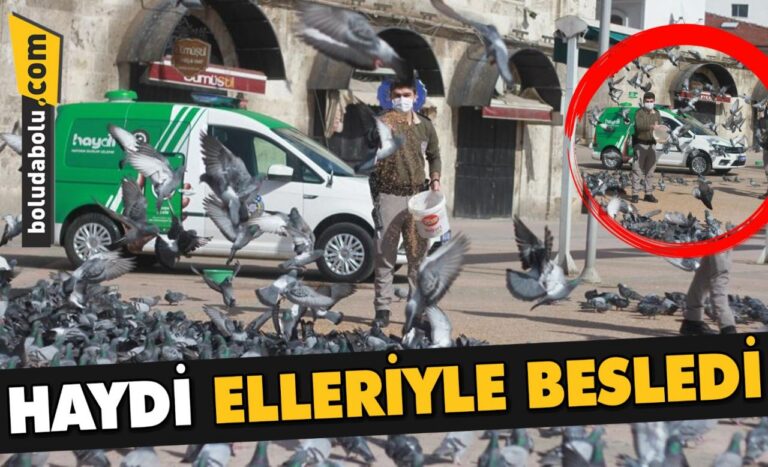 HAYDİ ELLERİYLE BESLEDİ