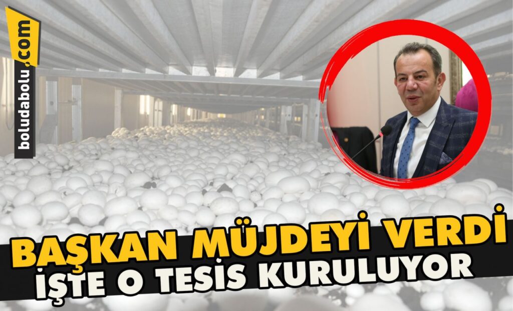Başkan müjdeyi verdi, işte o tesis kuruluyor Başkan müjdeyi verdi, işte o tesis kuruluyor