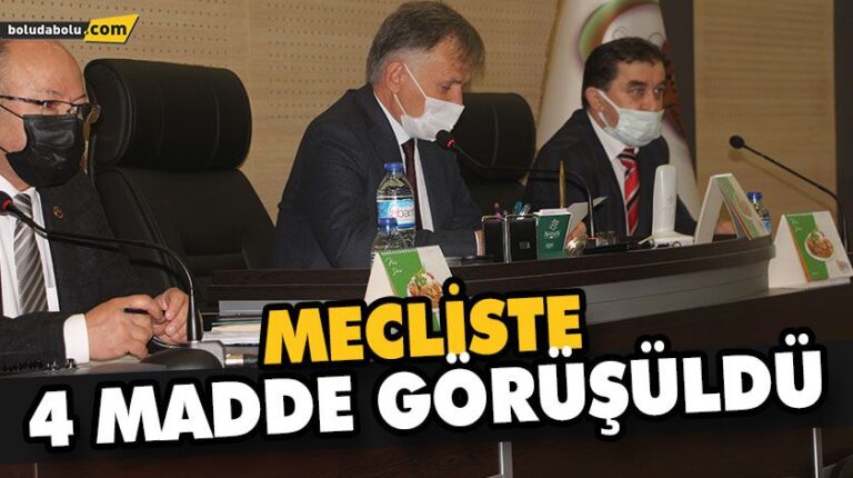 MECLİSTE 4 MADDE GÖRÜŞÜLDÜ