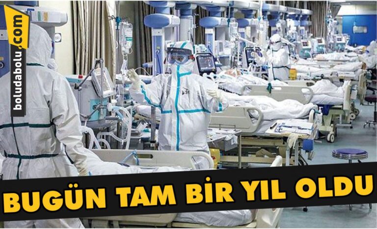 Bugün tam bir yıl oldu