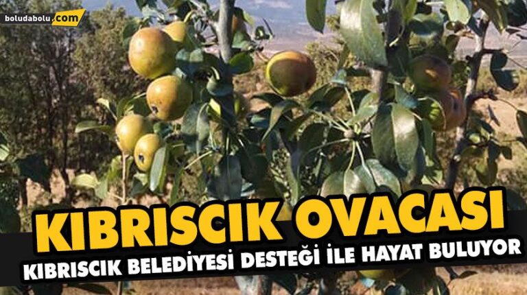 KIBRISCIK OVACASI KIBRISCIK BELEDİYESİ DESTEĞİ İLE HAYAT BULUYOR