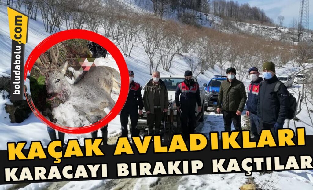 Kaçak avladıkları Karacayı bırakıp kaçtılar Kaçak avladıkları Karacayı bırakıp kaçtılar
