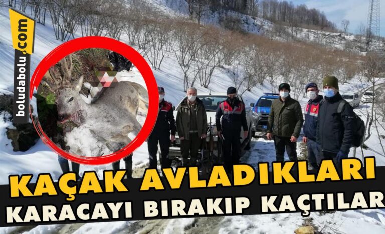 Kaçak avladıkları Karacayı bırakıp kaçtılar
