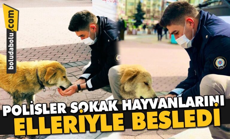 Polisler sokak hayvanlarını elleriyle besledi
