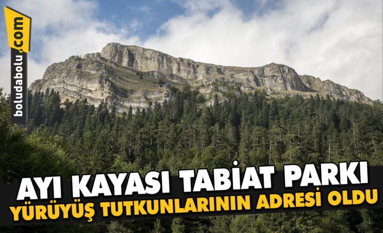 Ayı Kayası Tabiat Parkı yürüyüş tutkunlarının adresi oldu