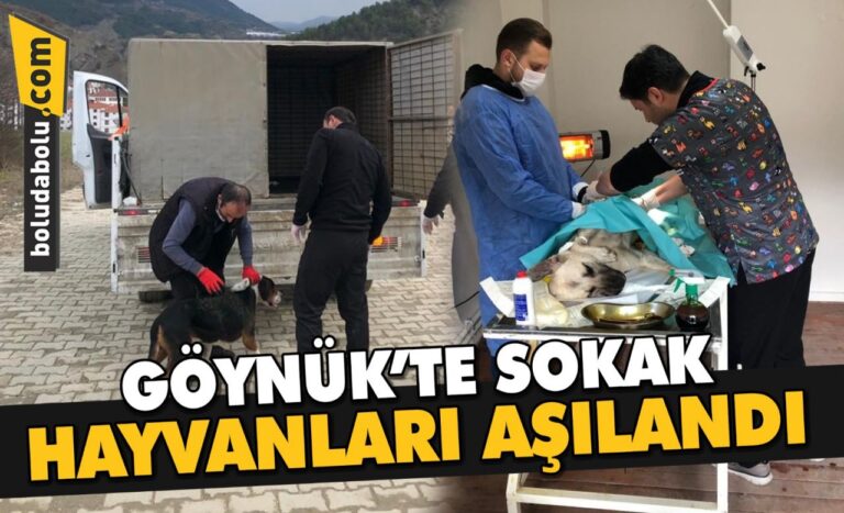 SOKAK HAYVANLARINA AŞI VE KISIRLAŞTIRMA