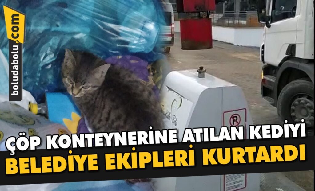 ÇÖP KONTEYNERİNE ATILAN KEDİYİ BELEDİYE EKİPLERİ KURTARDI ÇÖP KONTEYNERİNE ATILAN KEDİYİ BELEDİYE EKİPLERİ KURTARDI
