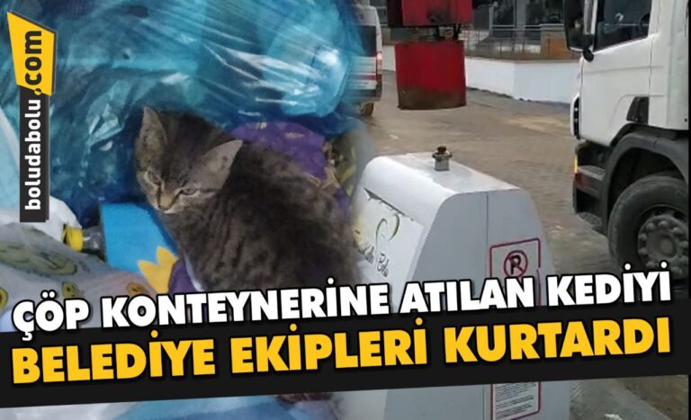 ÇÖP KONTEYNERİNE ATILAN KEDİYİ BELEDİYE EKİPLERİ KURTARDI