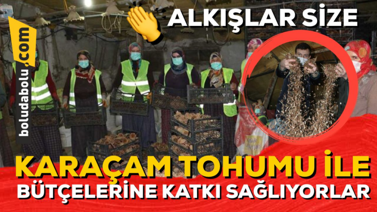 BOLU’DA KARAÇAM TOHUMU ÜRETEN ORMAN KÖYLÜLERİ HEM DOĞAYA HEM AİLE BÜTÇELERİNE KATKI SAĞLIYOR