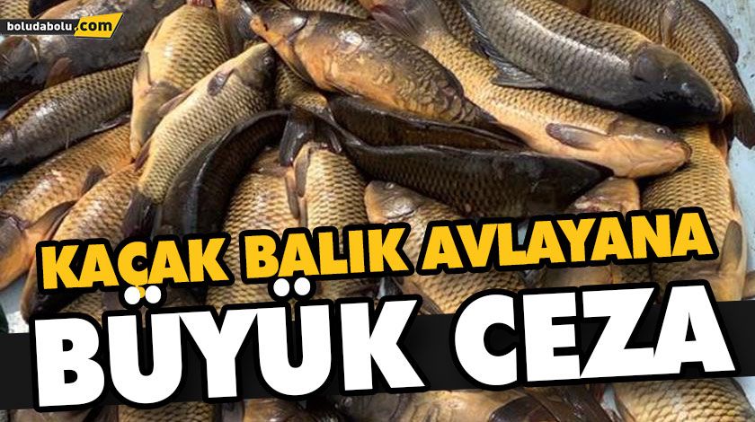 BOLU’DA KAÇAK BALIK AVLAYAN KİŞİYE 5 BİN 455 LİRA CEZA VERİLDİ BOLU’DA KAÇAK BALIK AVLAYAN KİŞİYE 5 BİN 455 LİRA CEZA VERİLDİ