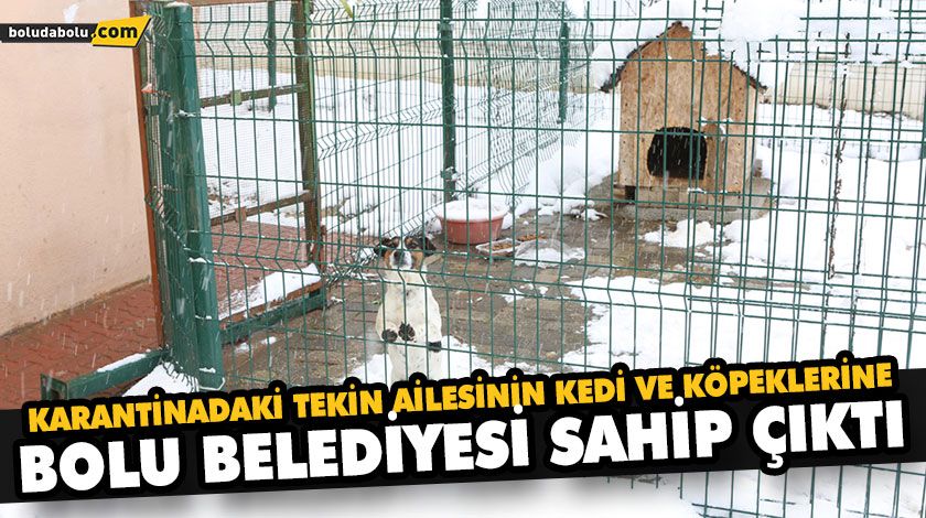 KARANTİNADAKİ TEKİN AİLESİNİN KEDİ VE KÖPEKLERİNE BOLU BELEDİYESİ SAHİP ÇIKTI