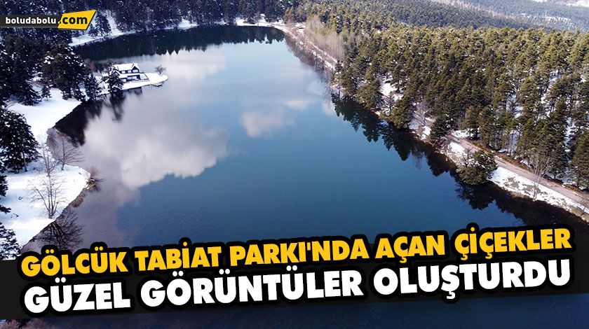 GÖLCÜK TABİAT PARKI’NDA AÇAN ÇİÇEKLER GÜZEL GÖRÜNTÜLER OLUŞTURDU