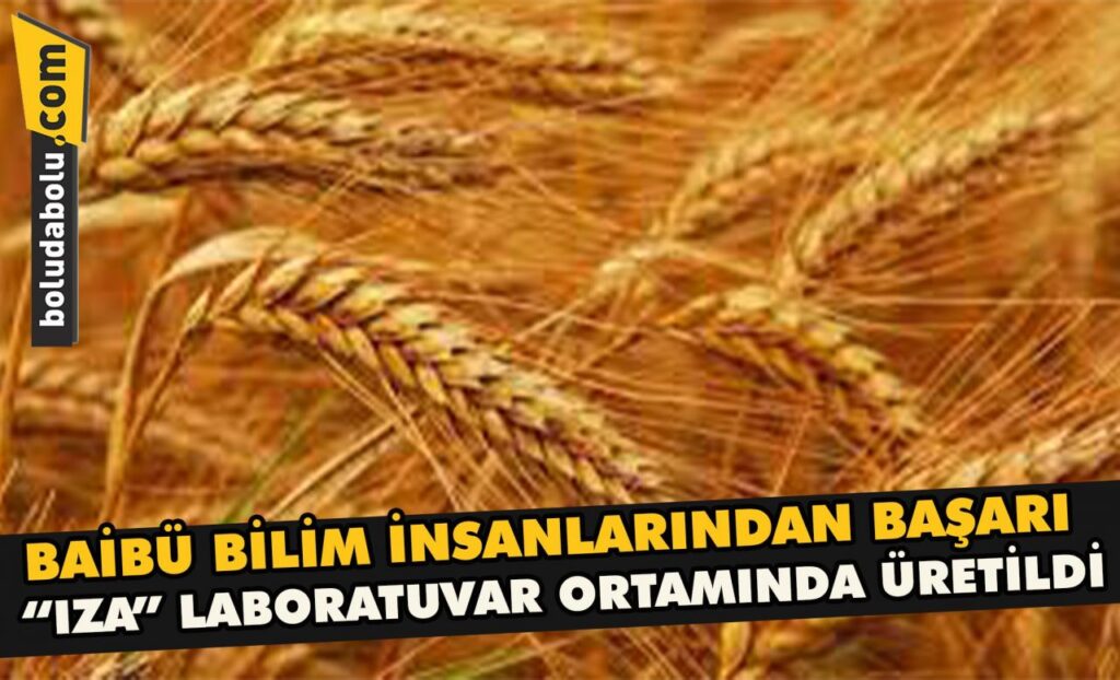 BAİBÜ BİLİM İNSANLARINDAN BAŞARI BAİBÜ BİLİM İNSANLARINDAN BAŞARI